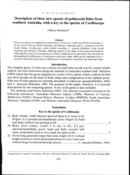 Description of Three New Species of Gobiesocid Fishes from Southern Australia, with a Key to the Species of Cochleoceps