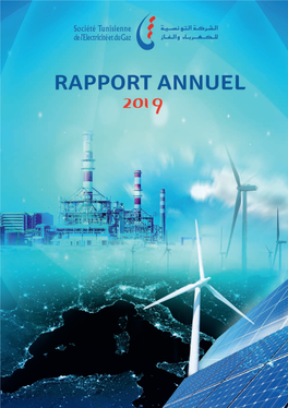 Rapport Annuel Steg 2019 Fr.Pdf