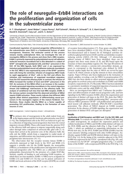 The Role of Neuregulin–Erbb4 Interactions on the Proliferation and Organization of Cells in the Subventricular Zone