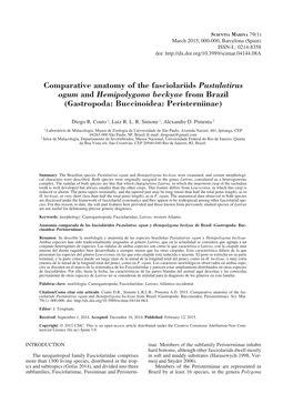 Comparative Anatomy of the Fasciolariids Pustulatirus Ogum and Hemipolygona Beckyae from Brazil (Gastropoda: Buccinoidea: Peristerniinae)