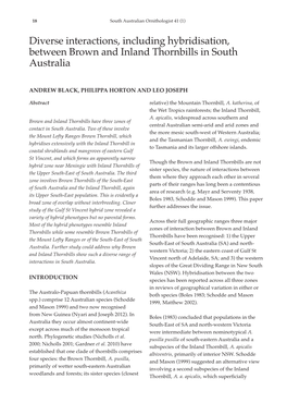 Diverse Interactions, Including Hybridisation, Between Brown and Inland Thornbills in South Australia