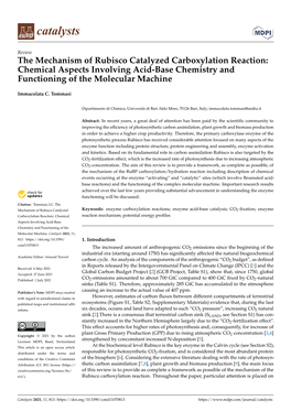 The Mechanism of Rubisco Catalyzed Carboxylation Reaction: Chemical Aspects Involving Acid-Base Chemistry and Functioning of the Molecular Machine