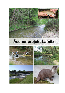 Äschenprojekt Lafnitz