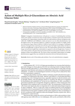 Action of Multiple Rice -Glucosidases on Abscisic Acid Glucose Ester