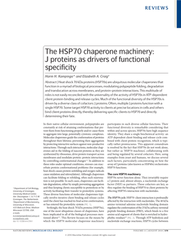The HSP70 Chaperone Machinery: J Proteins As Drivers of Functional Specificity