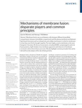 Mechanisms of Membrane Fusion: Disparate Players and Common Principles