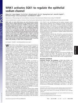 WNK1 Activates SGK1 to Regulate the Epithelial Sodium Channel