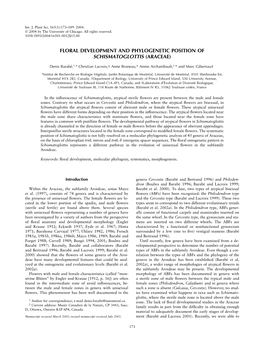 Floral Development and Phylogenetic Position of Schismatoglottis (Araceae)