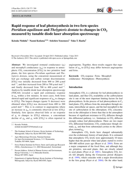 Rapid Response of Leaf Photosynthesis in Two Fern Species Pteridium