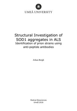 Structural Investigation of SOD1 Aggregates in ALS Identification of Prion Strains Using Anti-Peptide Antibodies