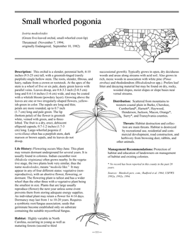 Small Whorled Pogonia