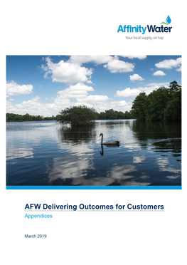 AFW Delivering Outcomes for Customers Appendices