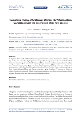 Coleoptera, Carabidae)