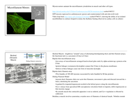 Microfilament Motors