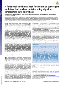 A Functional Enrichment Test for Molecular Convergent Evolution Finds a Clear Protein-Coding Signal in Echolocating Bats and Whales