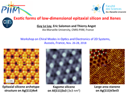 Exotic Forms of Low-Dimensional Epitaxial Silicon and Xenes
