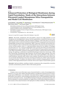 Enhanced Protection of Biological Membranes During Lipid Peroxidation