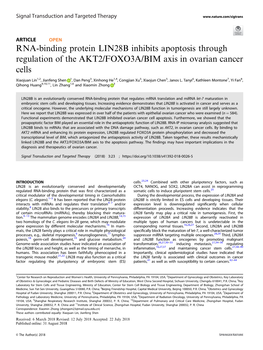 RNA-Binding Protein LIN28B Inhibits Apoptosis Through Regulation of the AKT2/FOXO3A/BIM Axis in Ovarian Cancer Cells