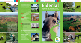 Eidertal-Flyer