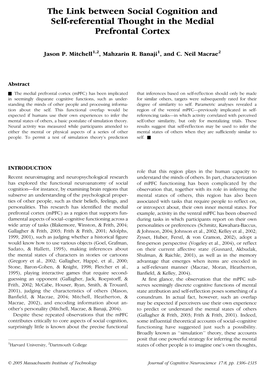 The Link Between Social Cognition and Self-Referential Thought in the Medial Prefrontal Cortex