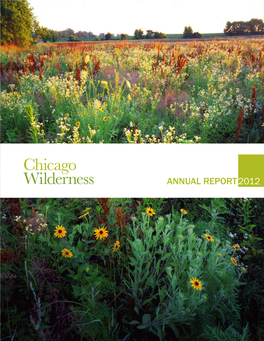 Annual Report2012