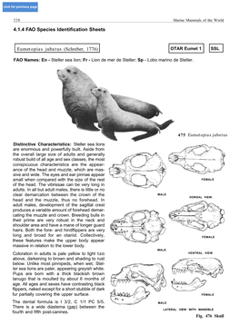 4.1.4 FAO Species Identification Sheets Eumetopias Jubatus