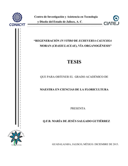 Regeneración in Vitro De Echeveria Calycosa Moran (Crassulaceae), Vía Organogénesis”