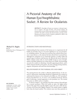 A Pictorial Anatomy of the Human Eye/Anophthalmic Socket: a Review for Ocularists