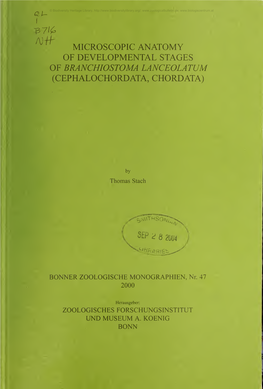 Cephalochordata, Chordata)