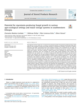 Potential for Mycotoxin-Producing Fungal Growth in Various Agro-Ecological Settings and Maize Storage Systems in Southwestern Ethiopia