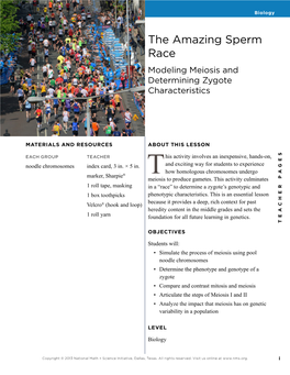 The Amazing Sperm Race Modeling Meiosis and Determining Zygote Characteristics