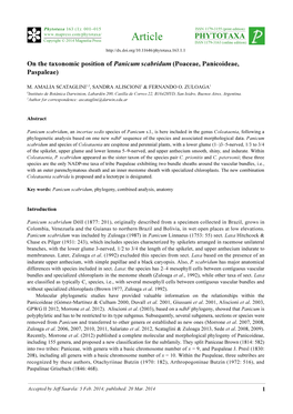 On the Taxonomic Position of Panicum Scabridum (Poaceae, Panicoideae, Paspaleae)