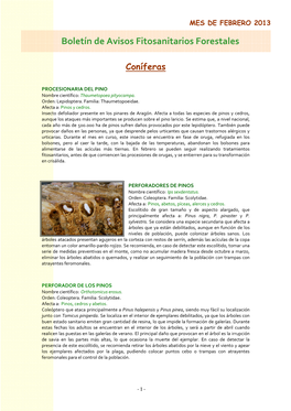 Boletín De Avisos Fitosanitarios Forestales