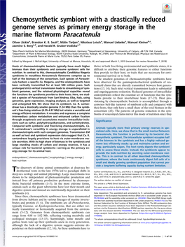 Chemosynthetic Symbiont with a Drastically Reduced Genome Serves As Primary Energy Storage in the Marine Flatworm Paracatenula