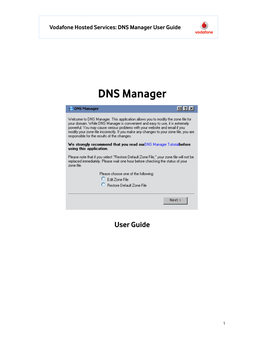 DNS Manager User Guide VF