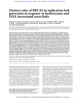 Distinct Roles of BRCA2 in Replication Fork Protection in Response to Hydroxyurea and DNA Interstrand Cross-Links