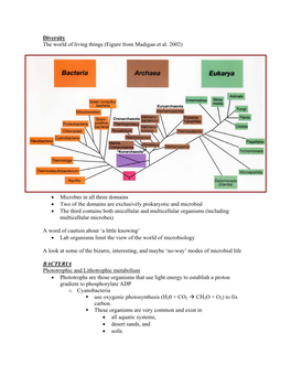 Diversity.Pdf