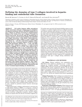 Binding and Endothelial Tube Formation