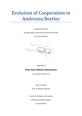 Evolution of Cooperation in Ambrosia Beetles