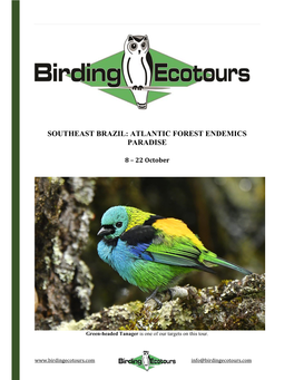 Southeast Brazil: Atlantic Forest Endemics Paradise