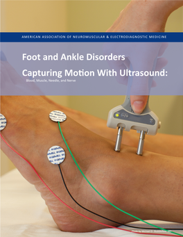 Foot and Ankle Disorders Capturing Motion with Ultrasound