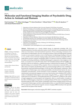 Molecular and Functional Imaging Studies of Psychedelic Drug Action in Animals and Humans