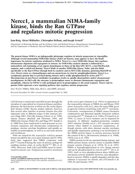 Nercc1, a Mammalian NIMA-Family Kinase, Binds the Ran Gtpase and Regulates Mitotic Progression