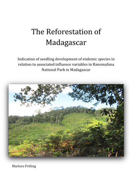 The Reforestation of Madagascar