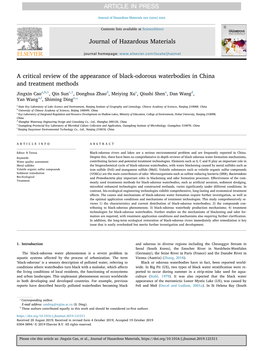A Critical Review of the Appearance of Black-Odorous Waterbodies in China and Treatment Methods