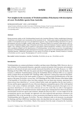 Zootaxa, New Insights in the Taxonomy of Trichobranchidae (Polychaeta