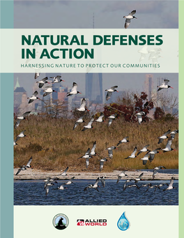 NATURAL DEFENSES in ACTION HARNESSING NATURE to PROTECT OUR COMMUNITIES Copyright © 2016 National Wildlife Federation