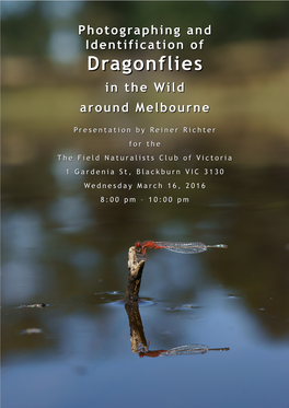 Dragonfliesdragonflies Inin Thethe Wildwild Aroundaround Melbournemelbourne