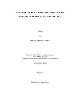 Islands in the Nile Sea: the Maritime Cultural Landscape of Thmuis, an Ancient Delta City