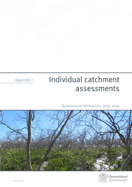 Individual Catchment Assessments